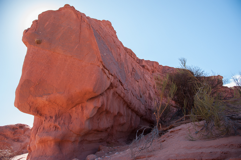 Quebrada de las Conchas